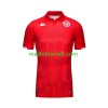 Maillot de Foot Tunisie Domicile 2023-24